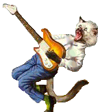 The Other Rockin' Kitty