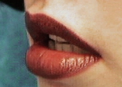 jeanine lips